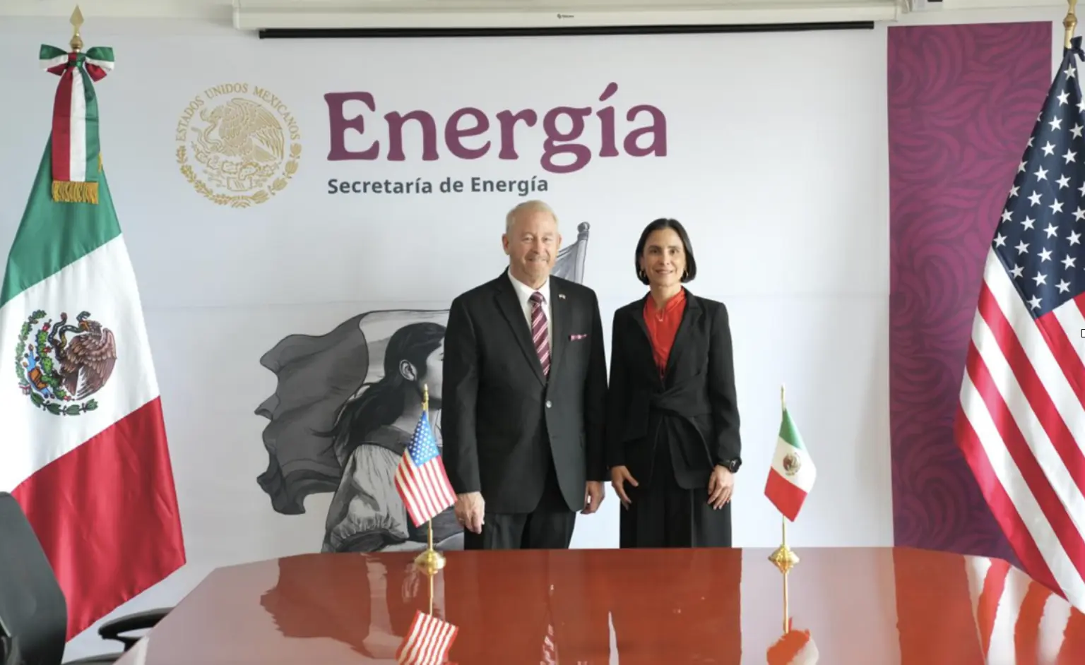 La secretaria de Energía Luz Elena González Escobar se reunió hoy con el embajador de los Estados Unidos de América en México